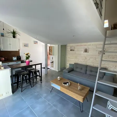 Agreable Maison, A 400m, Jardin, Piscine Et Tennis 度假居 滨海圣帕莱